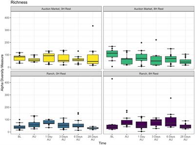 Auction market placement and a rest stop during transportation affect the respiratory bacterial microbiota of beef cattle